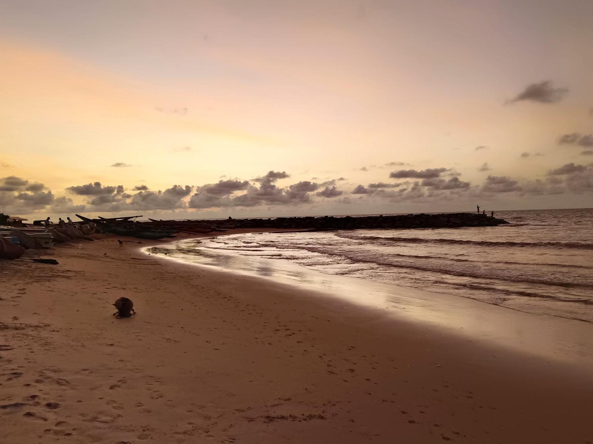 La Cozy Hotel & Restaurant Negombo Daluwekotuwa Exteriér fotografie